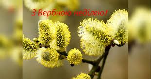 Пусть верба одарит крепким здравием и искренней любовью. Pozdravleniya S Verbnym Voskresenem 2020 I Prazdnichnye Otkrytki Fakti