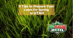 How to aerate your lawn. How To Prepare Your Lawn For Spring Big League Lawns Utah