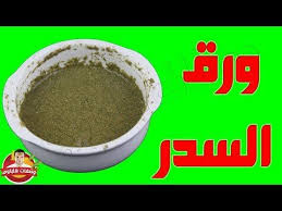 وصفة ورق السدر المذهلة لإيقاف تساقط الشعر تماما وتكثيفه في شهر واحد Youtube Food Hair Mask Garden Pot Tray