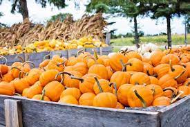 Check spelling or type a new query. Where To Spend Thanksgiving 5 Family Friendly Thanksgiving Destinations