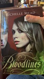 ISO dark romance book or series that will hit as hard as haunting/hunting  Adeline or the shadowmen series.🖤