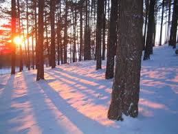 Free Winter Scene Images Pictures And Royalty Free Stock Photos Freeimages Com Try these tips to expand your search free winter scene images pictures and