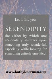 Serendipity Joy Quotes Serendipity Quotes Inspirational Quotes