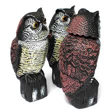 Résultat de recherche d'images pour "bird scarer from china"