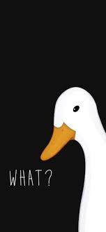Hey Goose Black Wallpaper Iphone Cute Cartoon Wallpapers Cartoon Wallpaper