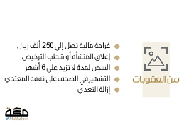 السجن للمتلاعبين بالصور دون إذن صاحبها صحيفة مكة