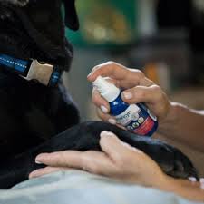 Wash the area very gently a few times a day using a mild detergent (plain. Vetericyn Plus Antimicrobial Hot Spot Gel 1048 At Tractor Supply Co