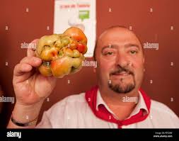 Animal feo hi-res stock photography and images