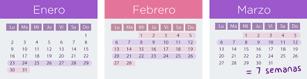 Características de las 22 semanas de embarazo. Semanas De Embarazo Cuanto Tiempo Tengo Clinica Reina Madre