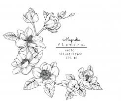 See more ideas about line art, art, line art drawings. Free Flower Line Art Vectors 5 000 Images In Ai Eps Format