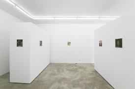 Bildergebnis für Shahin Afrassiabi