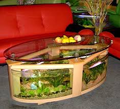 It's a fish tank coffee table. Amazon Com Oval Coffee Table Aquarium With Filter Pump Light Completely Fish Ready Pet Supplies