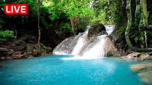 Relaxing Nature Sounds Tropical Rainforest Waterfall Sound For Sleep R Waterfall Sounds Jungle Sounds Beautiful Nature
