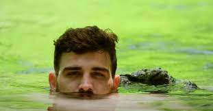 Love in the Jungle' Cast: What to Know About the 14 Singles