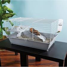 Asking for a freind once again. You Me Guinea Pig Starter Kit Petco