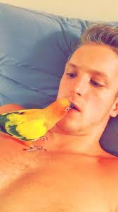 Candy Moreno (@VMDD031813)