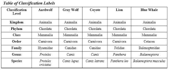 Use The Diagram To Answer Each Question Table Of