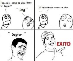 ¿cómo se dice veterinaria en inglés? Facebook