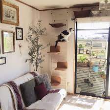 We did not find results for: 30 Modern Diy Cat Playground Ideas In Your Interior Homemydesign Cat Playground Cat Diy Cat Bedroom