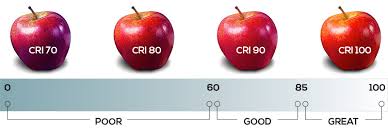 Guide Cct Cri Bulb Basics