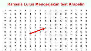 We did not find results for: Rahasia Mengerjakan Tes Krapelin Youtube