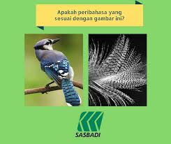 Burung murai kampung liar setiap hari bertandang halaman rumah. Sasbadi Group Peribahasa Ini Bermaksud Orang Yang Suka Membuat Bising Apakah Peribahasa Itu Ujimindaanda Peribahsa Facebook