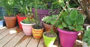 Les pots, bacs et jardinières vont vous permettre de fleurir ou cultiver votre extérieur même si vous ne possédez pas de jardin. Pot Jardiniere Suspension Ou Bac Quel Contenant Acheter