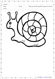 Desenhos De Caracol Para Colorir E Imprimir Educacao E Transformacao