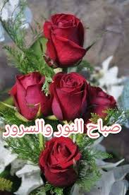صباح النور والسرور beautiful rose flowers beautiful flowers beautiful roses