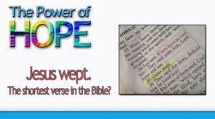 Pin On Bible Questions