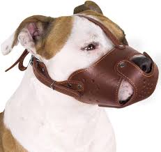 Muzzles