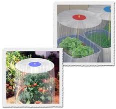 Mix 5 tablespoons of dish soap with 4 cups of water in a bottle and spray plants with the solution. 11 Plant Shade Dot Ideas In 2021 Plants Shade Umbrellas Shade For Plants