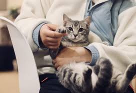 Новые стихи к празднику «день ветеринара» на ресурсе поздравок. Mezhdunarodnyj Den Veterinarnogo Vracha Pozdravleniya S Dnem Veterinara