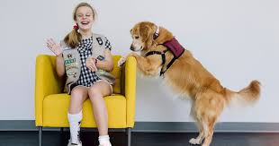 Goes with step 1 for the pets badge. 7 Ways Girl Scouts Can Give Back To Pets Girl Scout Blog