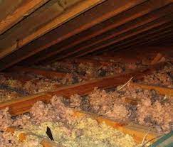 Maybe you would like to learn more about one of these? Attic Cleanup And Decontamination Services In San Mateo Ca