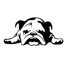 Black And White Bulldog Cartoon 11 23 Cm Car Stickers English Bulldog Tired Puppy Dog Cartoon Animal Pattern Car Window Car Body Decal Black Sil Bulldog Drawing Bulldog Tattoo English Bulldog