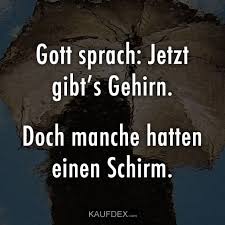 Gott Sprach Jetzt Gibt S Gehirn Mit Bildern Witzige Spruche Lustige Spruche Spruche