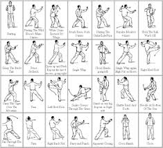24 postures with applications and the book is simple, his wisdom humble, and the illustrations perfect. Tai Chi Movements