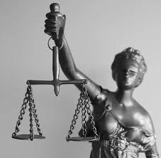 Image result for Justicia incana