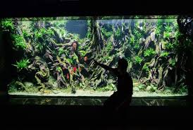 Check spelling or type a new query. Bebas Stres Dengan Em Aquascape Em