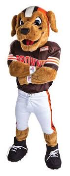 The cleveland browns will have a live bulldog as a mascot this upcoming season. Cleveland Browns Chomps Cleveland Browns Browns Mascot Cleveland Browns Football