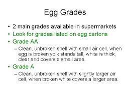 Now click text, type your ingredient name, click and. Eggs Chapter 16 Draw And Label The Parts
