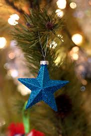 Christmas mini sessions christmas minis christmas photo cards country christmas christmas pictures family christmas christmas tree family family children photography. Free Photo Shallow Focus Photography Of Blue Star Christmas Tree Decor Gold Tree Star Free Download Jooinn