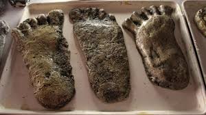 The best selection of royalty free abominable snowman vector art, graphics and stock illustrations. Facts Hunt For The Abominable Snowman National Geographic Channel Canada