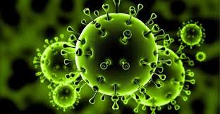 بیماری ویروسی کرونا چیست؟