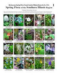 We did not find results for: Illinois Spring Flora Of The Southern Illinois Region Field Guides