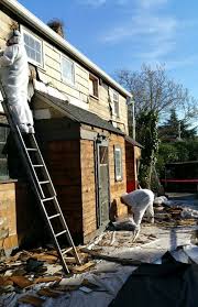 We did not find results for: Protecting Your Family From Lead Asbestos When Remodeling Model Remodel