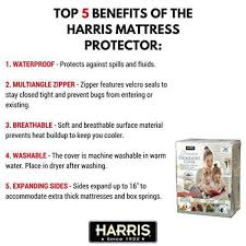 Create a bed you'll love. Harris Bed Bug Mattress And Box Spring Protective Covers Full 2 Pack F Matt The Home Depot