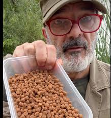 Derek the crofter = not Fish 😆 Cuttlefish = not fish Starfish = not fish  Jellyfish = not fish Silverfish = not fish Shellfish = not fish Seahorse  fish