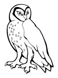 La chouette 2 il s'agit d'une impression de ma peinture originale de chouette. Coloriage Chouette Hibou Sur Hugolescargot Com